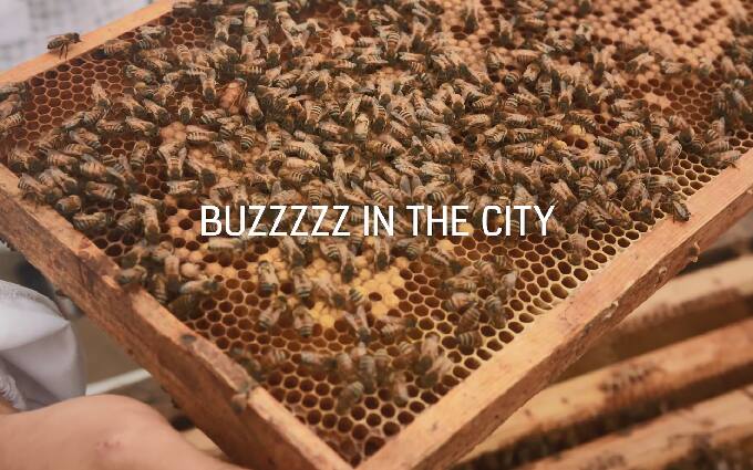 img_honey